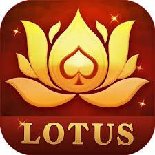 east teen patti download
